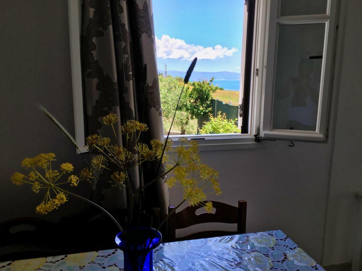 Anthoula'S Sea View Apartment Piso Livadi Eksteriør billede