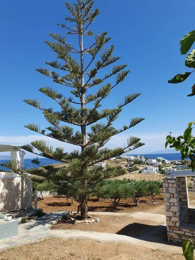 Anthoula'S Sea View Apartment Piso Livadi Eksteriør billede