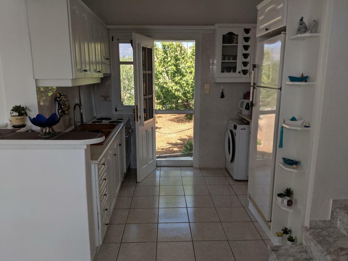 Anthoula'S Sea View Apartment Piso Livadi Eksteriør billede